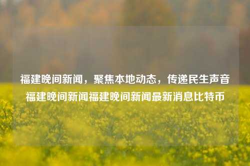 福建晚间新闻，聚焦本地动态，传递民生声音福建晚间新闻福建晚间新闻最新消息比特币