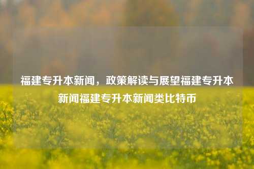 福建专升本新闻，政策解读与展望福建专升本新闻福建专升本新闻类比特币