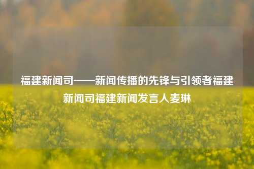 福建新闻司——新闻传播的先锋与引领者福建新闻司福建新闻发言人麦琳