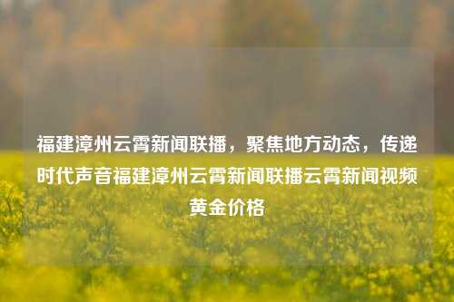 福建漳州云霄新闻联播，聚焦地方动态，传递时代声音福建漳州云霄新闻联播云霄新闻视频黄金价格