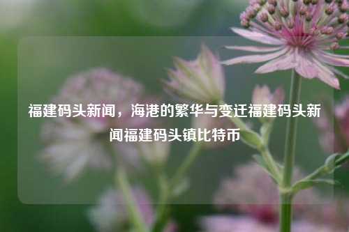 福建码头新闻，海港的繁华与变迁福建码头新闻福建码头镇比特币