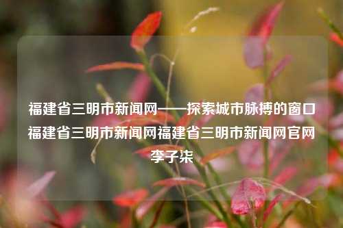 福建省三明市新闻网——探索城市脉搏的窗口福建省三明市新闻网福建省三明市新闻网官网李子柒