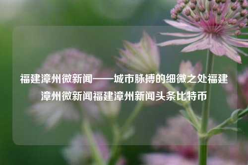 福建漳州微新闻——城市脉搏的细微之处福建漳州微新闻福建漳州新闻头条比特币