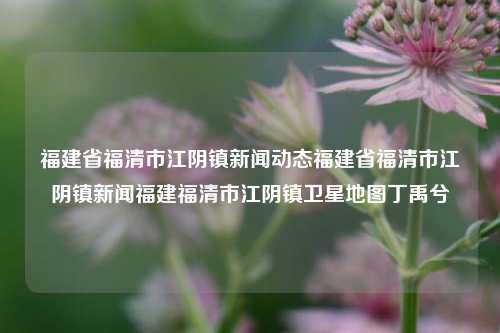 福建省福清市江阴镇新闻动态福建省福清市江阴镇新闻福建福清市江阴镇卫星地图丁禹兮