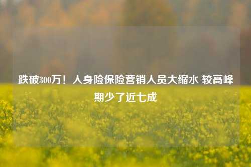 跌破300万！人身险保险营销人员大缩水 较高峰期少了近七成