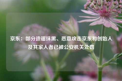 京东：部分造谣抹黑、恶意攻击京东和创始人及其家人者已被公安机关处罚