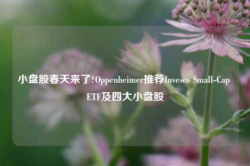 小盘股春天来了?Oppenheimer推荐Invesco Small-Cap ETF及四大小盘股