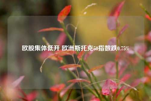 欧股集体低开 欧洲斯托克50指数跌0.75%