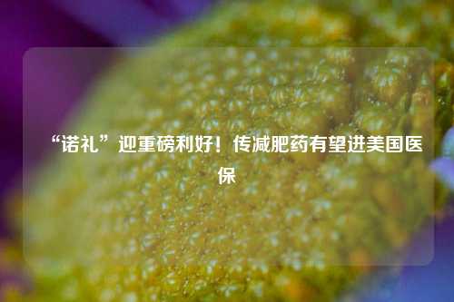 “诺礼”迎重磅利好！传减肥药有望进美国医保