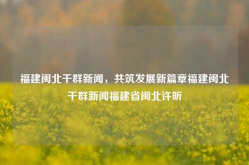 福建闽北干群新闻，共筑发展新篇章福建闽北干群新闻福建省闽北许昕