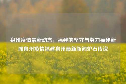 泉州疫情最新动态，福建的坚守与努力福建新闻泉州疫情福建泉州最新新闻炉石传说