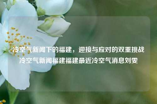 冷空气新闻下的福建，迎接与应对的双重挑战冷空气新闻福建福建最近冷空气消息刘雯