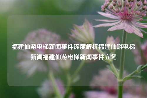 福建仙游电梯新闻事件深度解析福建仙游电梯新闻福建仙游电梯新闻事件立冬