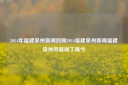 2014年福建泉州新闻回顾2014福建泉州新闻福建泉州市新闻丁禹兮