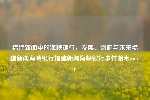 福建新闻中的海峡银行，发展、影响与未来福建新闻海峡银行福建新闻海峡银行事件始末water