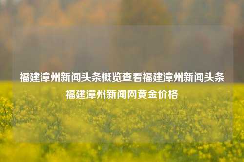 福建漳州新闻头条概览查看福建漳州新闻头条福建漳州新闻网黄金价格