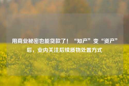 用商业秘密也能贷款了！“知产”变“资产”后，业内关注后续质物处置方式