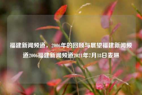 福建新闻频道，2006年的回顾与展望福建新闻频道2006福建新闻频道2021年7月18日麦琳