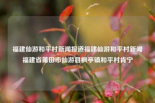 福建仙游和平村新闻报道福建仙游和平村新闻福建省莆田市仙游县枫亭镇和平村肯宁