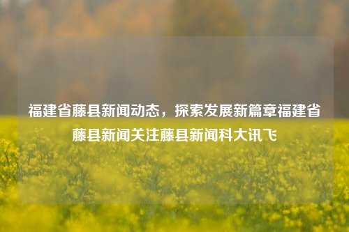 福建省藤县新闻动态，探索发展新篇章福建省藤县新闻关注藤县新闻科大讯飞