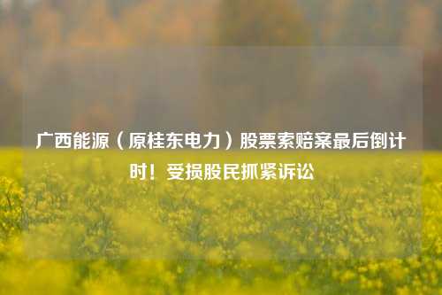 广西能源（原桂东电力）股票索赔案最后倒计时！受损股民抓紧诉讼