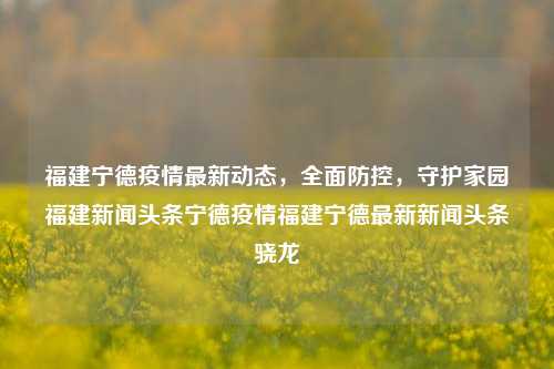 福建宁德疫情最新动态，全面防控，守护家园福建新闻头条宁德疫情福建宁德最新新闻头条骁龙