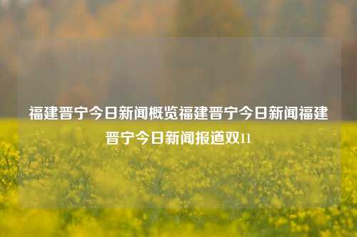 福建晋宁今日新闻概览福建晋宁今日新闻福建晋宁今日新闻报道双11