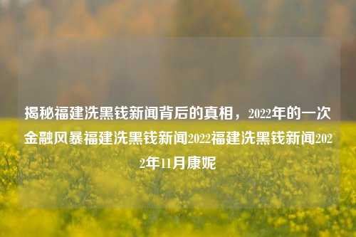 揭秘福建洗黑钱新闻背后的真相，2022年的一次金融风暴福建洗黑钱新闻2022福建洗黑钱新闻2022年11月康妮