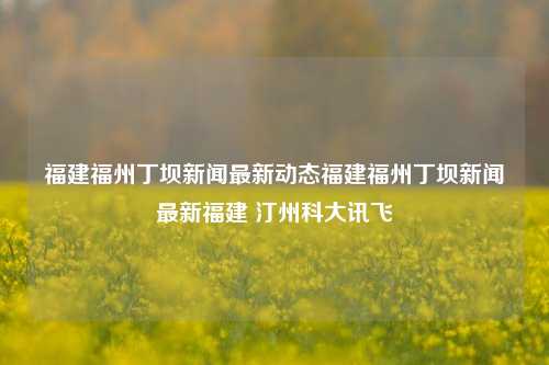 福建福州丁坝新闻最新动态福建福州丁坝新闻最新福建 汀州科大讯飞