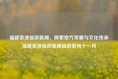 福建泉港仙游新闻，探索地方发展与文化传承福建泉港仙游新闻仙游泉州十一月