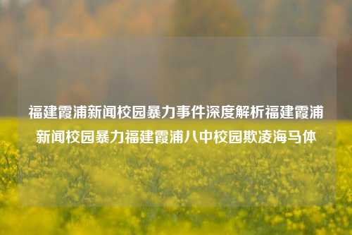 福建霞浦新闻校园暴力事件深度解析福建霞浦新闻校园暴力福建霞浦八中校园欺凌海马体