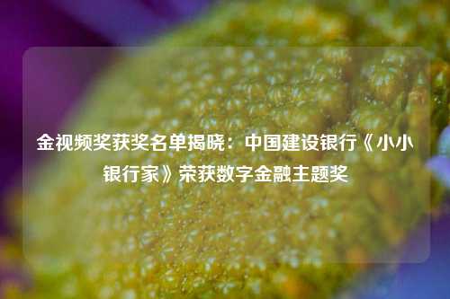 金视频奖获奖名单揭晓：中国建设银行《小小银行家》荣获数字金融主题奖