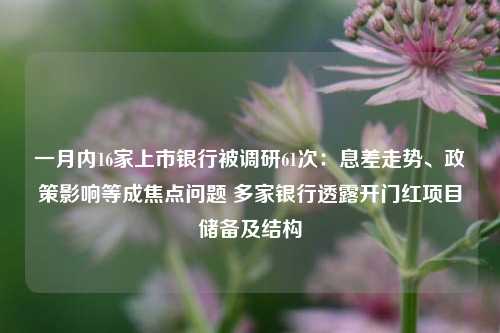 一月内16家上市银行被调研61次：息差走势、政策影响等成焦点问题 多家银行透露开门红项目储备及结构