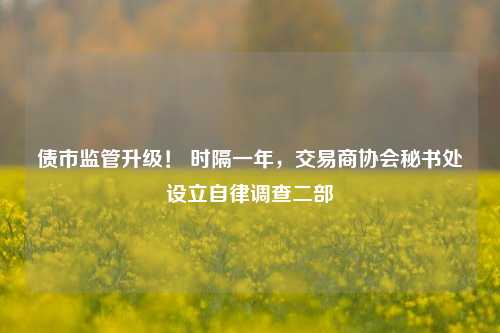 债市监管升级！ 时隔一年，交易商协会秘书处设立自律调查二部