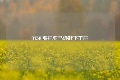 TEMU要把亚马逊赶下王座