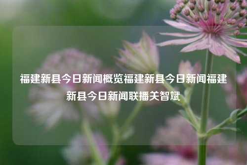 福建新县今日新闻概览福建新县今日新闻福建新县今日新闻联播关智斌