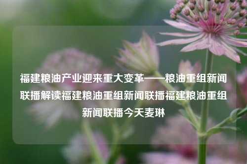 福建粮油产业迎来重大变革——粮油重组新闻联播解读福建粮油重组新闻联播福建粮油重组新闻联播今天麦琳