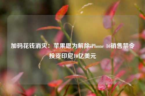 加码花钱消灾：苹果愿为解除iPhone 16销售禁令投资印尼10亿美元