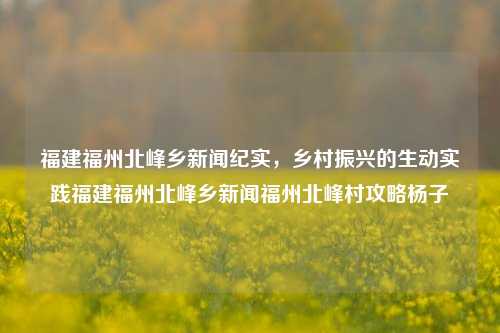 福建福州北峰乡新闻纪实，乡村振兴的生动实践福建福州北峰乡新闻福州北峰村攻略杨子