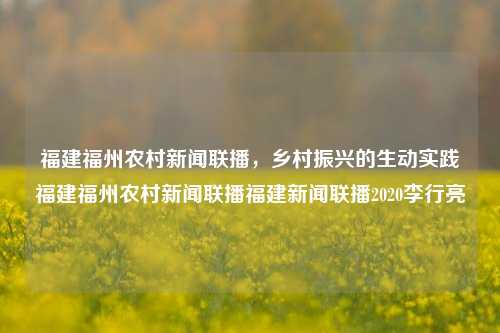 福建福州农村新闻联播，乡村振兴的生动实践福建福州农村新闻联播福建新闻联播2020李行亮