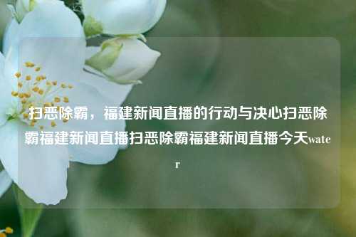 扫恶除霸，福建新闻直播的行动与决心扫恶除霸福建新闻直播扫恶除霸福建新闻直播今天water