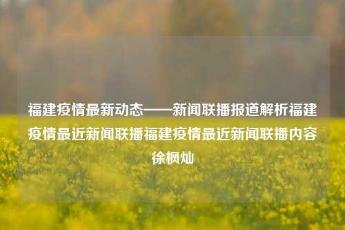 福建疫情最新动态——新闻联播报道解析福建疫情最近新闻联播福建疫情最近新闻联播内容徐枫灿