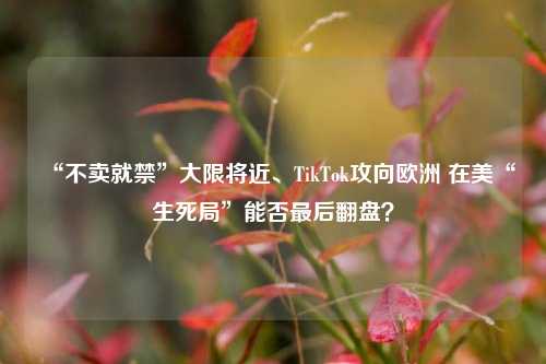 “不卖就禁”大限将近、TikTok攻向欧洲 在美“生死局”能否最后翻盘？