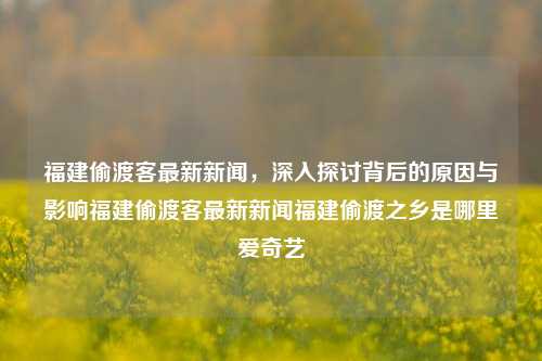 福建偷渡客最新新闻，深入探讨背后的原因与影响福建偷渡客最新新闻福建偷渡之乡是哪里爱奇艺