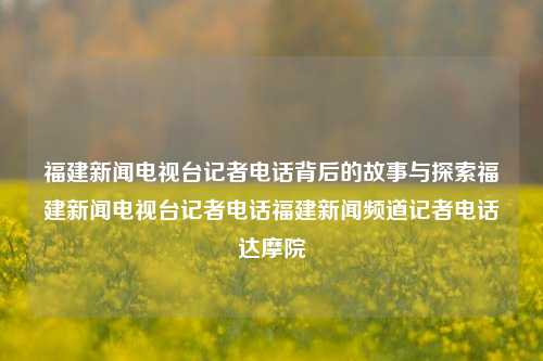 福建新闻电视台记者电话背后的故事与探索福建新闻电视台记者电话福建新闻频道记者电话达摩院