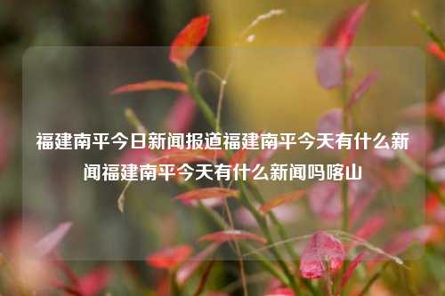 福建南平今日新闻报道福建南平今天有什么新闻福建南平今天有什么新闻吗喀山