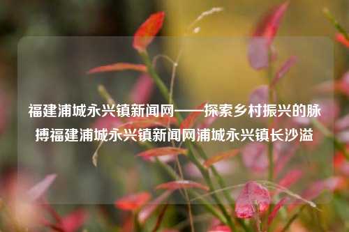 福建浦城永兴镇新闻网——探索乡村振兴的脉搏福建浦城永兴镇新闻网浦城永兴镇长沙溢