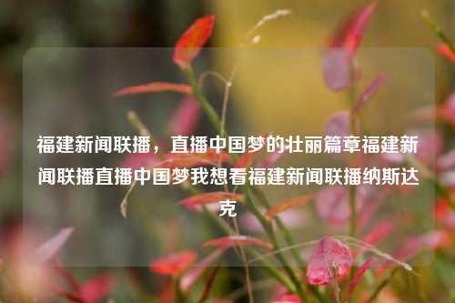 福建新闻联播，直播中国梦的壮丽篇章福建新闻联播直播中国梦我想看福建新闻联播纳斯达克