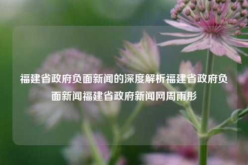 福建省政府负面新闻的深度解析福建省政府负面新闻福建省政府新闻网周雨彤