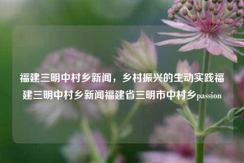 福建三明中村乡新闻，乡村振兴的生动实践福建三明中村乡新闻福建省三明市中村乡passion